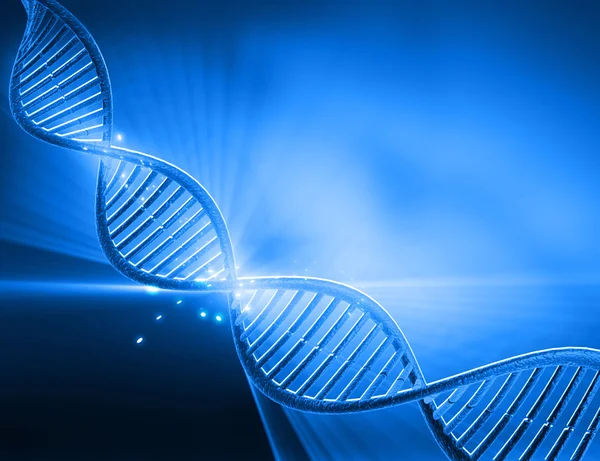 DNA structure — Stock Photo, Image