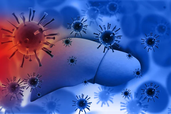 肝炎ウイルスによる肝感染 ロイヤリティフリーのストック画像
