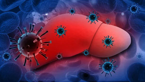 肝炎ウイルスによる肝感染 ストック写真