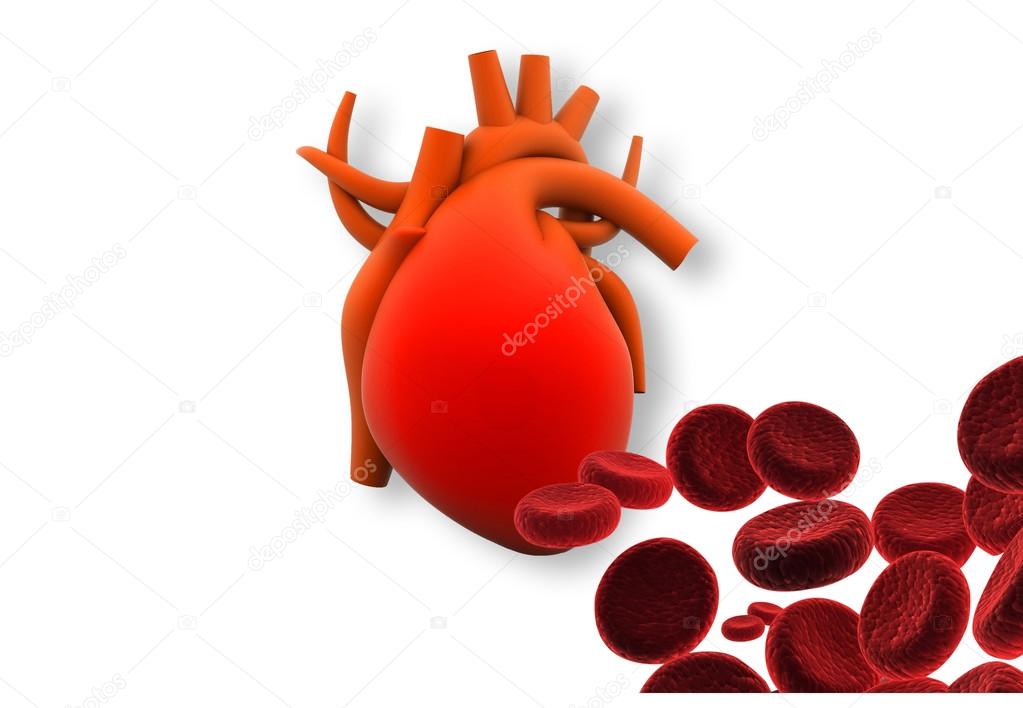 Heart with red cells