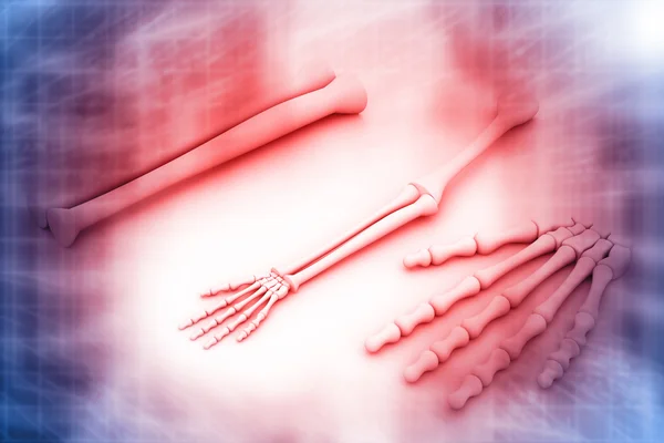 3d render of arm skeleton — Stock Photo, Image