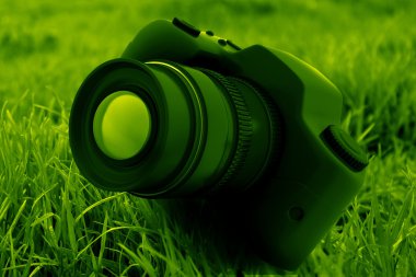 Yeşil zemin üzerine DSLR fotoğraf makinesi