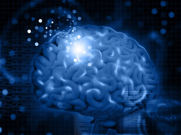 Learning brain. Грег данн нейроны. Красивый мозг. Нейро художник грег данн. Brain through.