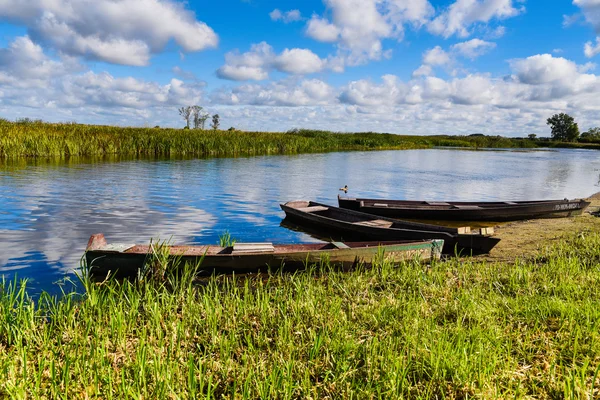 Rivière Biebrza, Podlasie-Pologne — Photo