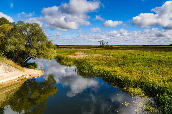 Rivière Biebrza, Podlasie-Pologne — Photo