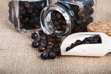 tahta kaşık ile kurutulmuş ardıç meyveleri