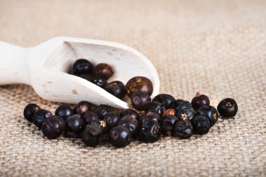 tahta kaşık ile kurutulmuş ardıç meyveleri