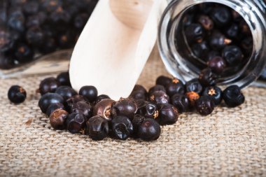 tahta kaşık ile kurutulmuş ardıç meyveleri