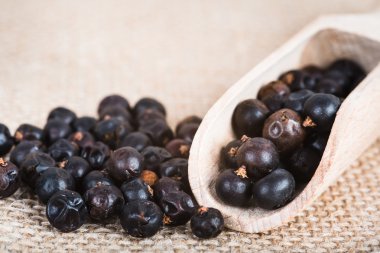 tahta kaşık ile kurutulmuş ardıç meyveleri