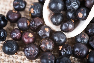 tahta kaşık ile kurutulmuş ardıç meyveleri
