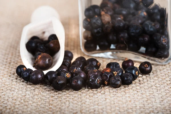 tahta kaşık ile kurutulmuş ardıç meyveleri