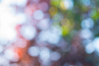 Arka plan bulanık bokeh