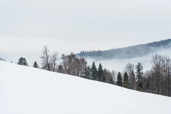 Bergen in de winter — Stockfoto