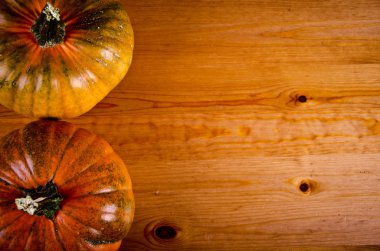 Cadılar Bayramı için olgunlaşmış kabaklar.