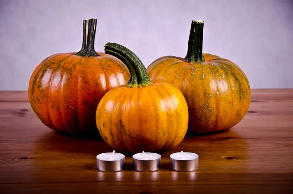 Abóboras maduras para o Halloween . — Fotografia de Stock