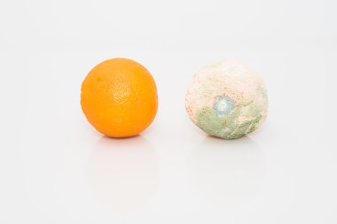 Küflü meyve portakal.