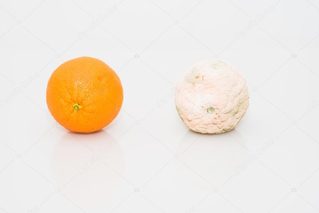 Moldy fruit orange.