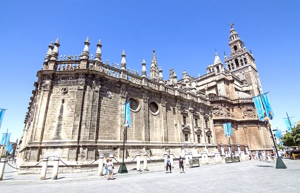 Katedrála v Seville a věž Giralda. Andalusie, Španělsko. — Stock fotografie
