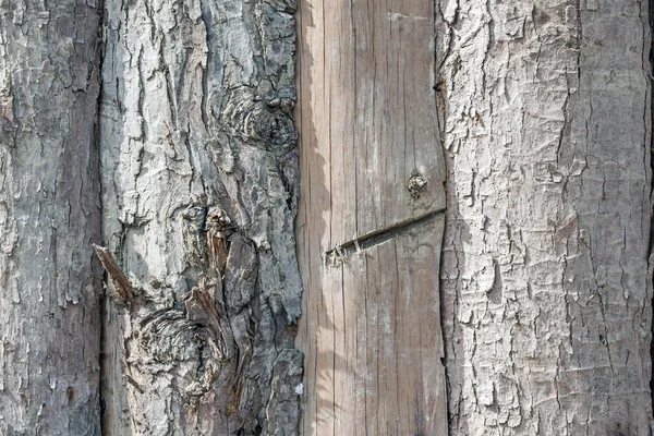 Houten plank muur. — Stockfoto