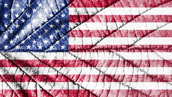 United states flag. Leaf texture. — Stock Photo, Image