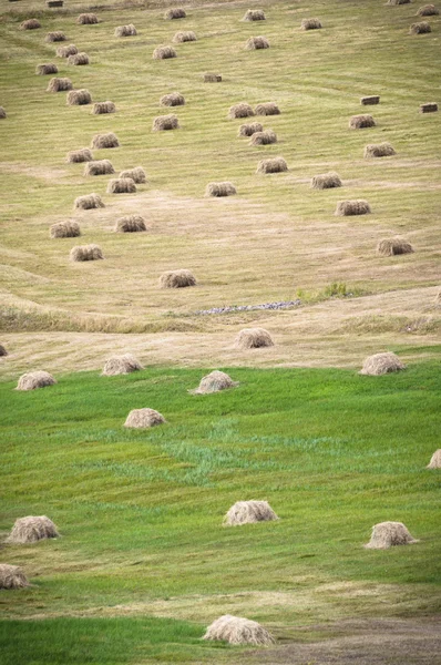 Бэйл о Хэе — стоковое фото