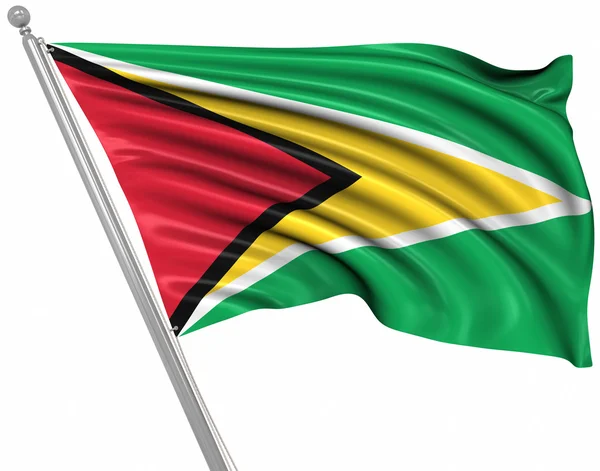 Bandiera della Guyana — Foto Stock