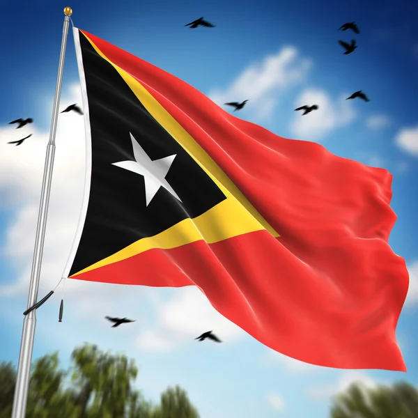 Σημαία του Ανατολικού Τιμόρ — Φωτογραφία Αρχείου