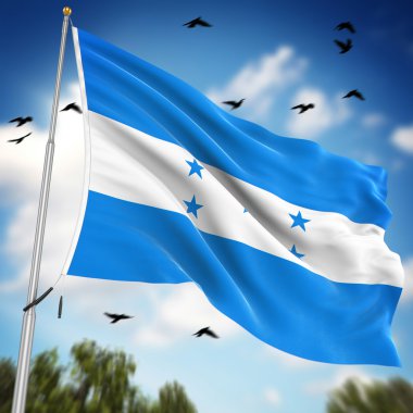 Honduras Bayrağı