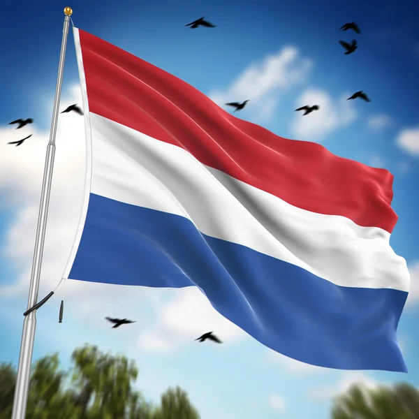 Σημαία των Κάτω Χωρών — Φωτογραφία Αρχείου