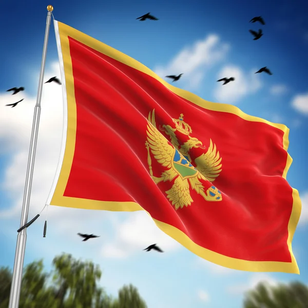 Montenegró zászlaja — Stock Fotó