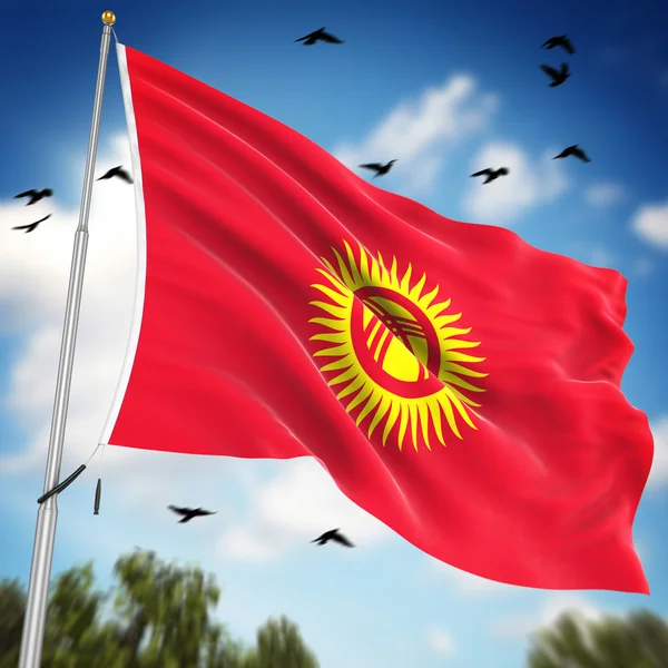 Флаг Кыргызстана Фото Хорошего Качества