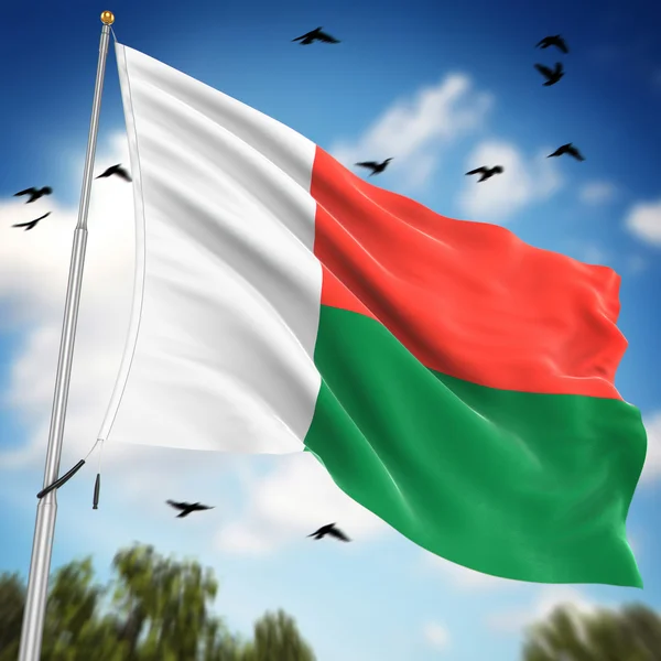 Madagaskarin lippu — kuvapankkivalokuva