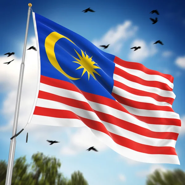 Flag of Malaysia — Stock Photo, Image