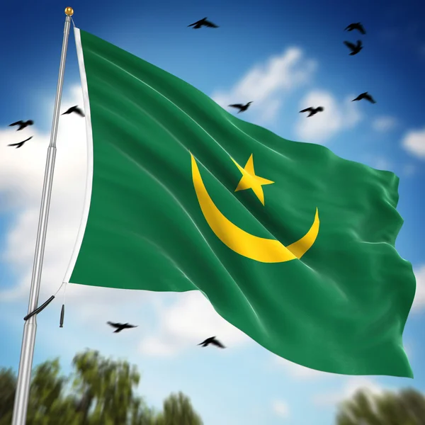 Flag of Mauritania — Stock Photo, Image