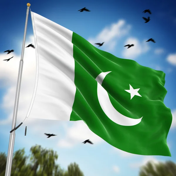 Flag of Pakistan — Stock Photo, Image