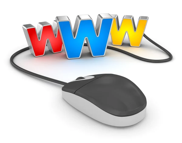 www Internet kavramı