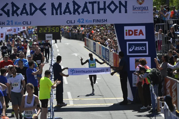 Maratón de Belgrado, Serbia — Foto de Stock