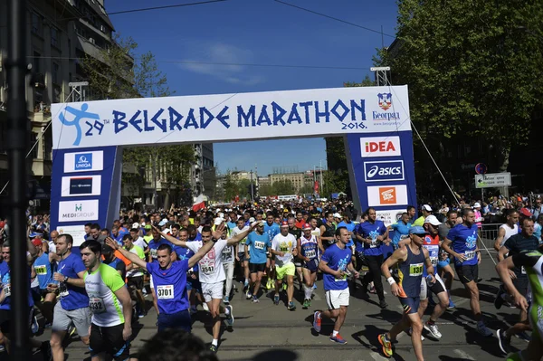 Maratona di Belgrado, Serbia — Foto Stock