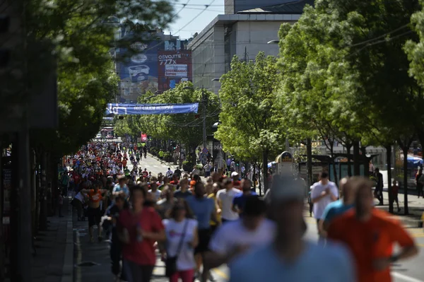 Belgrad Marathon — Stockfoto