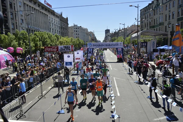 Belgrad Marathon — Stockfoto