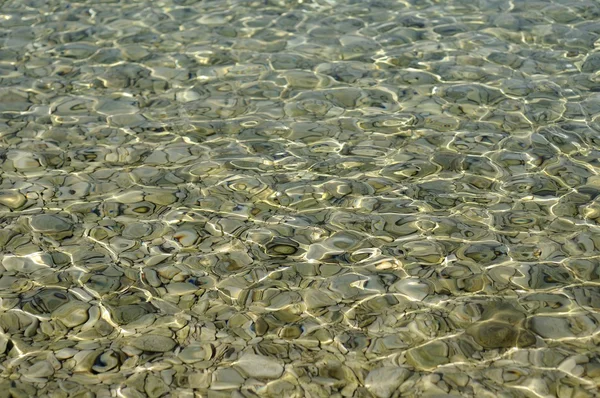 Dno morskie z kamyczków pod wodą. — Zdjęcie stockowe
