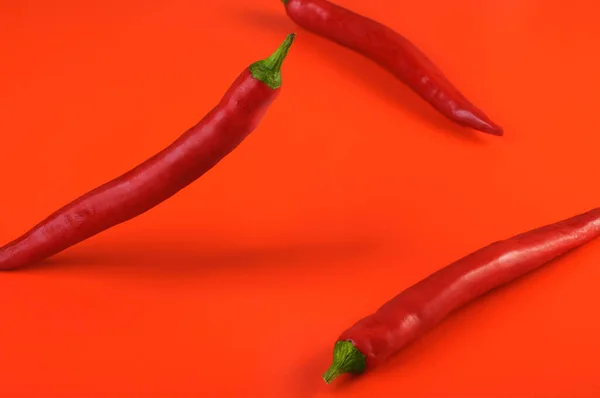 Red hot chili peppers, popular spices concept - red hot chili peppers pods in beautiful still life composition of a colorful lap on red background