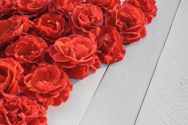 Červené Růže Bílé Dřevěné Pozadí Blahopřání Valentýn Svátek Svatba Oslavy — Stock fotografie