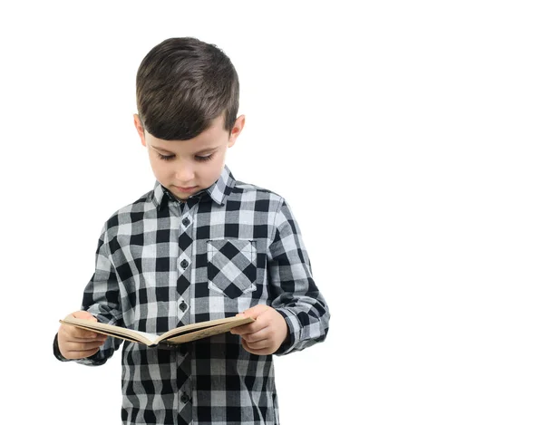 Αγόρι Ετών Γκρι Πουκάμισο Διαβάζει Λευκό Απομονωμένο Φόντο Αγόρι Ψάχνει — Φωτογραφία Αρχείου
