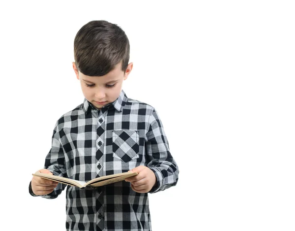 Niño Años Con Camisa Gris Lee Sobre Fondo Blanco Aislado —  Fotos de Stock