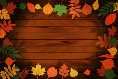 ahşap arka plan üzerinde vektör sonbahar yaprakları