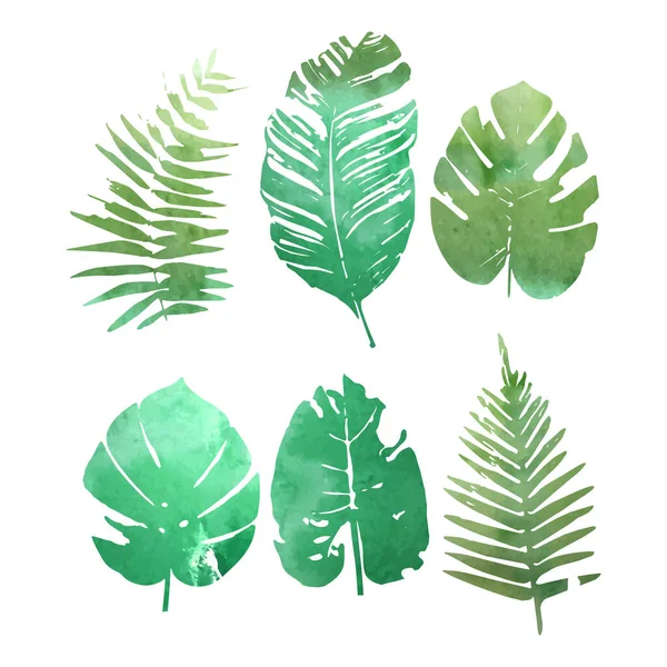 Set Watercolor Tropical Plants Leaves Vector Illustration — Stock Vector