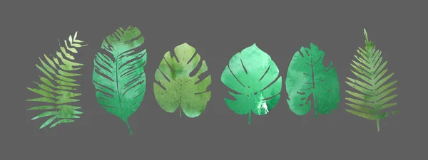 Sada Akvarelových Listů Tropických Rostlin Vektorová Ilustrace — Stockový vektor