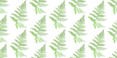 Kusursuz suluboya eğreltiotu deseni. Vektör illüstrasyonu