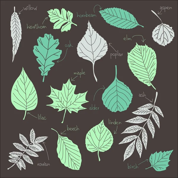 Serie di foglie vettoriali — Vettoriale Stock